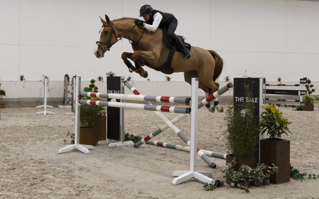 Kalista D’Houtveld