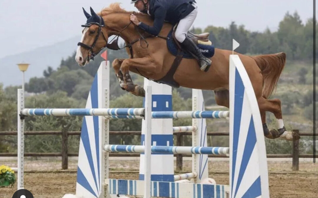 Discovering An Elite Sport Horse in Greece, Part I
