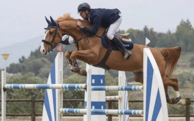 Discovering An Elite Sport Horse in Greece, Part I