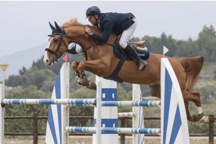 Deister Z, an imported sport horse from Greece, show jumping