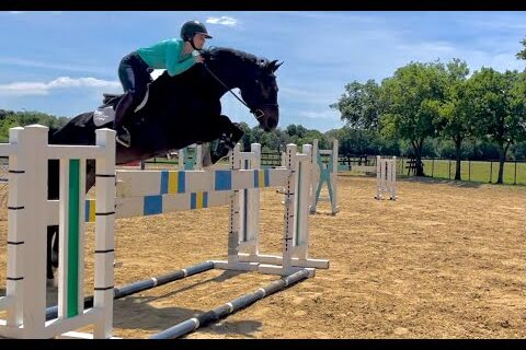 Conti schooling course up to 4'3 with Adult Amateur May 8 2023