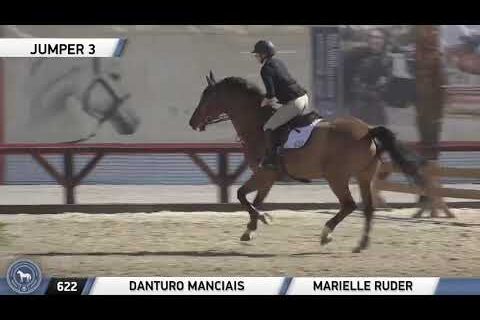 Danturo Mancias, Double clear and 3rd in 1.10m at Desert Horse Park with Junior Rider, Nov 2021